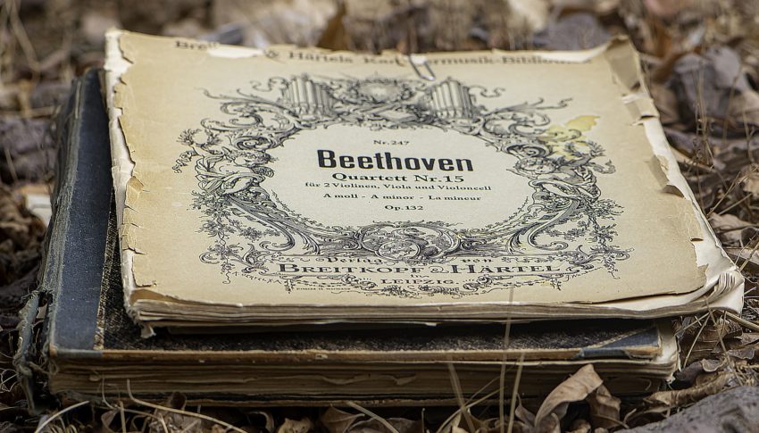 Beethoven feiert seinen 250. Geburtstag